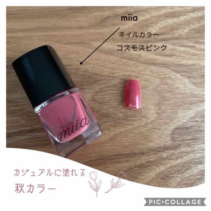 miia ネイルカラー/DAISO/マニキュアを使ったクチコミ(1枚目)