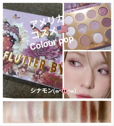 FLUTTER BY/ColourPop/アイシャドウパレットを使ったクチコミ（1枚目）