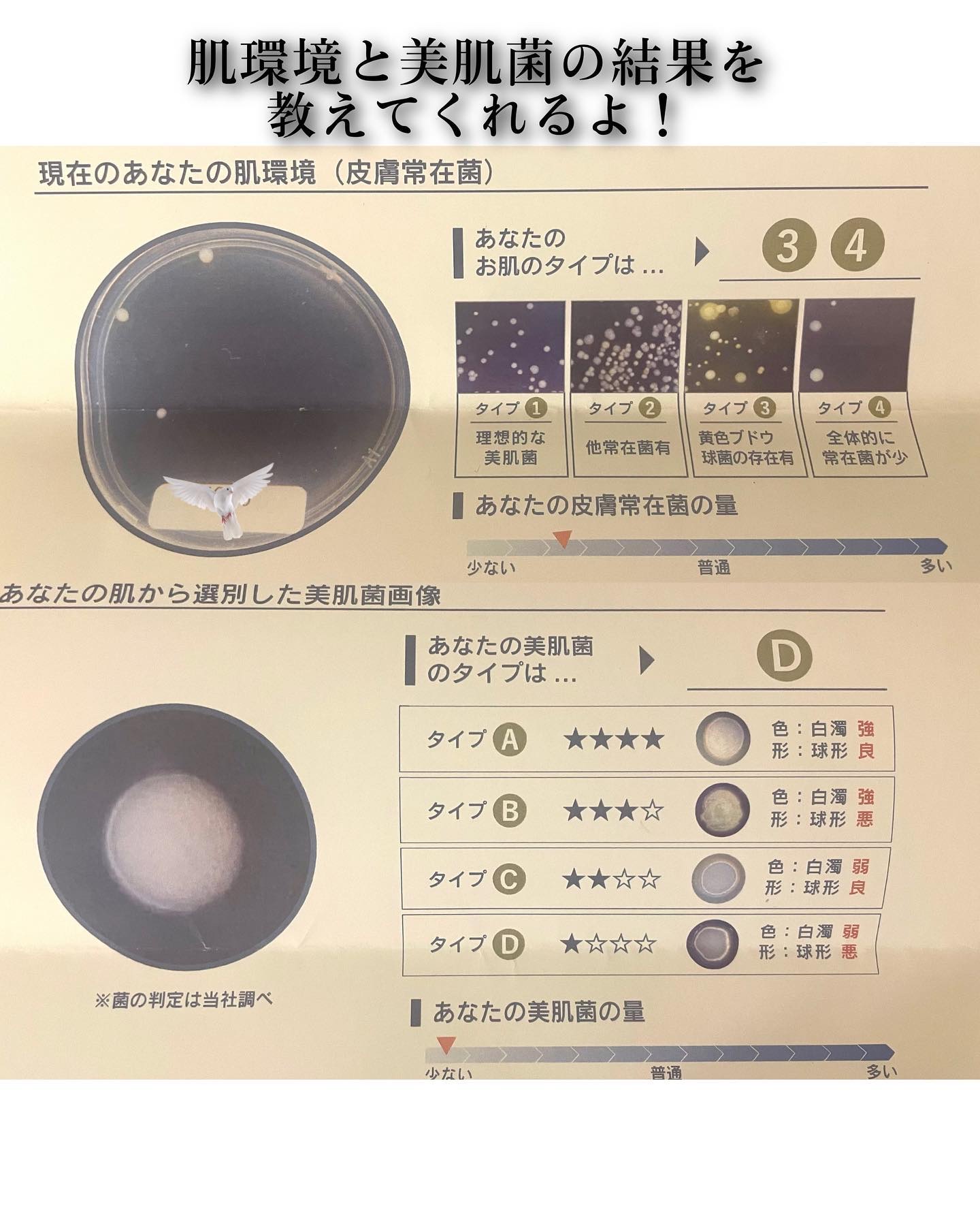 エルピダ セリア/ELPIDA/フェイスクリームを使ったクチコミ（3枚目）