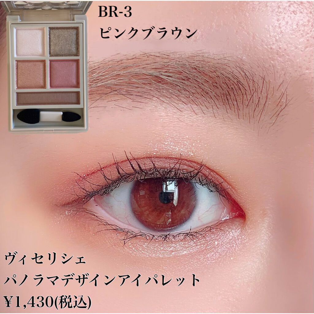 パノラマデザイン アイパレット/Visée/アイシャドウパレットを使ったクチコミ（2枚目）