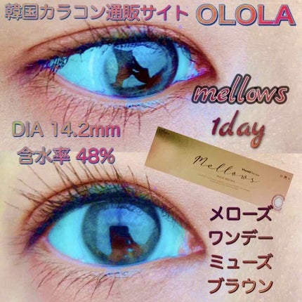 OLOLA メローズワンデーミューズブラウン(Mellows 1day Muse Brown)のクチコミ「韓国カラコン通販サイトOLOLAで買える「メローズワンデーミューズブラウン」についてご紹介しま.....」(2枚目)