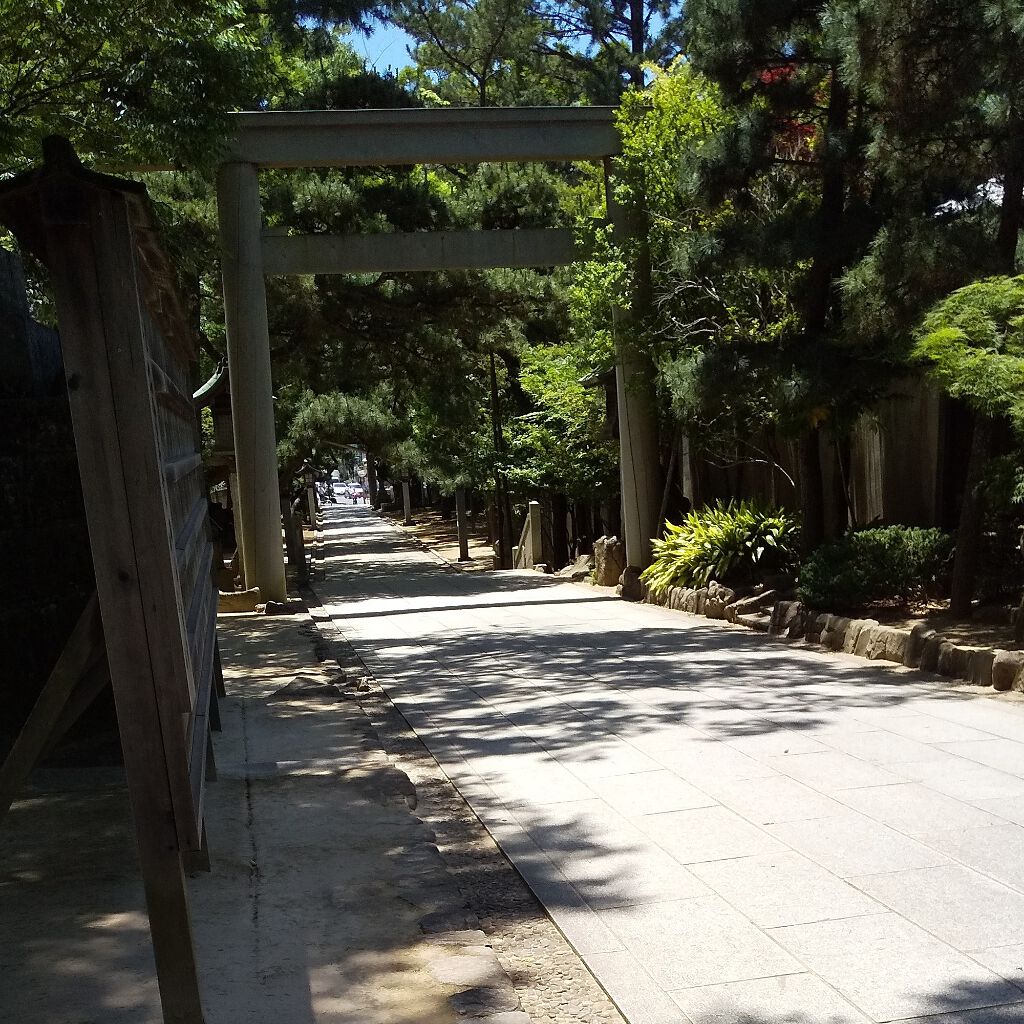 プレイカラーアイパレット ランジェリーバックステージ/ETUDE/アイシャドウパレットを使ったクチコミ（1枚目）