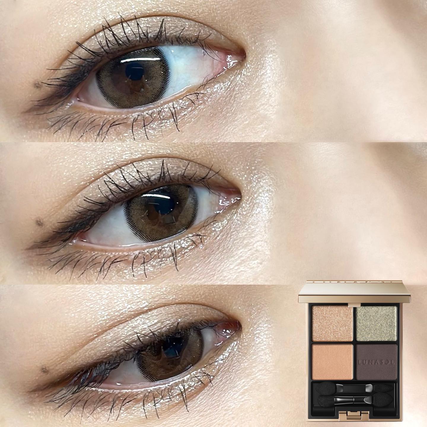 アイカラーレーション/LUNASOL/アイシャドウパレットを使ったクチコミ（1枚目）