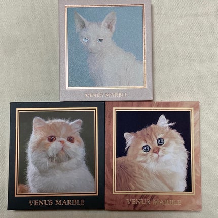 Venus Marble アイシャドウキャットシリーズ/Venus Marble/アイシャドウパレットを使ったクチコミ(3枚目)