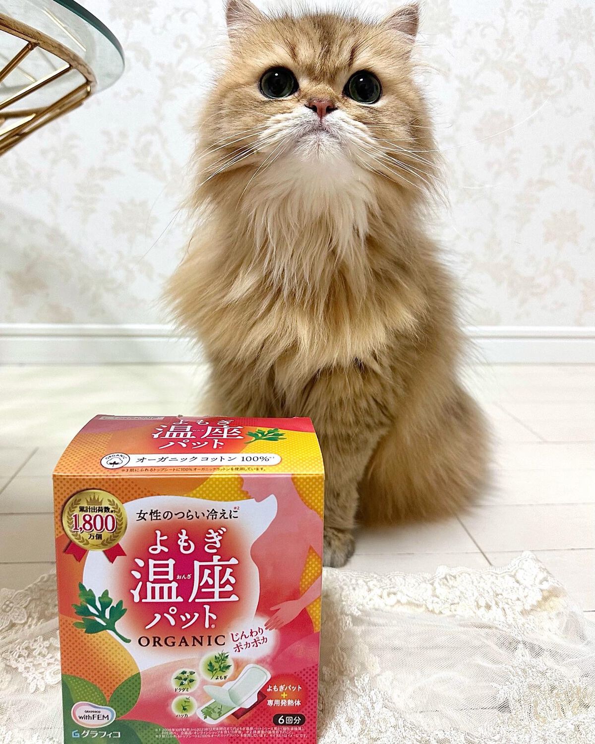 ウィズフェム　よもぎ温座パットオーガニック/グラフィコ/その他を使ったクチコミ（2枚目）