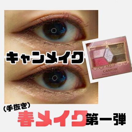 【旧品】パーフェクトスタイリストアイズ/キャンメイク/アイシャドウパレットを使ったクチコミ(1枚目)