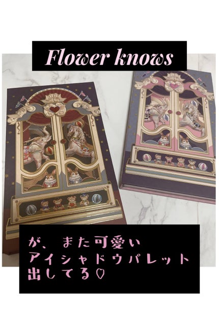 サーカスシリーズ12色アイシャドウパレット 02 Incredible Kingdom/FlowerKnows/アイシャドウパレットを使ったクチコミ(1枚目)