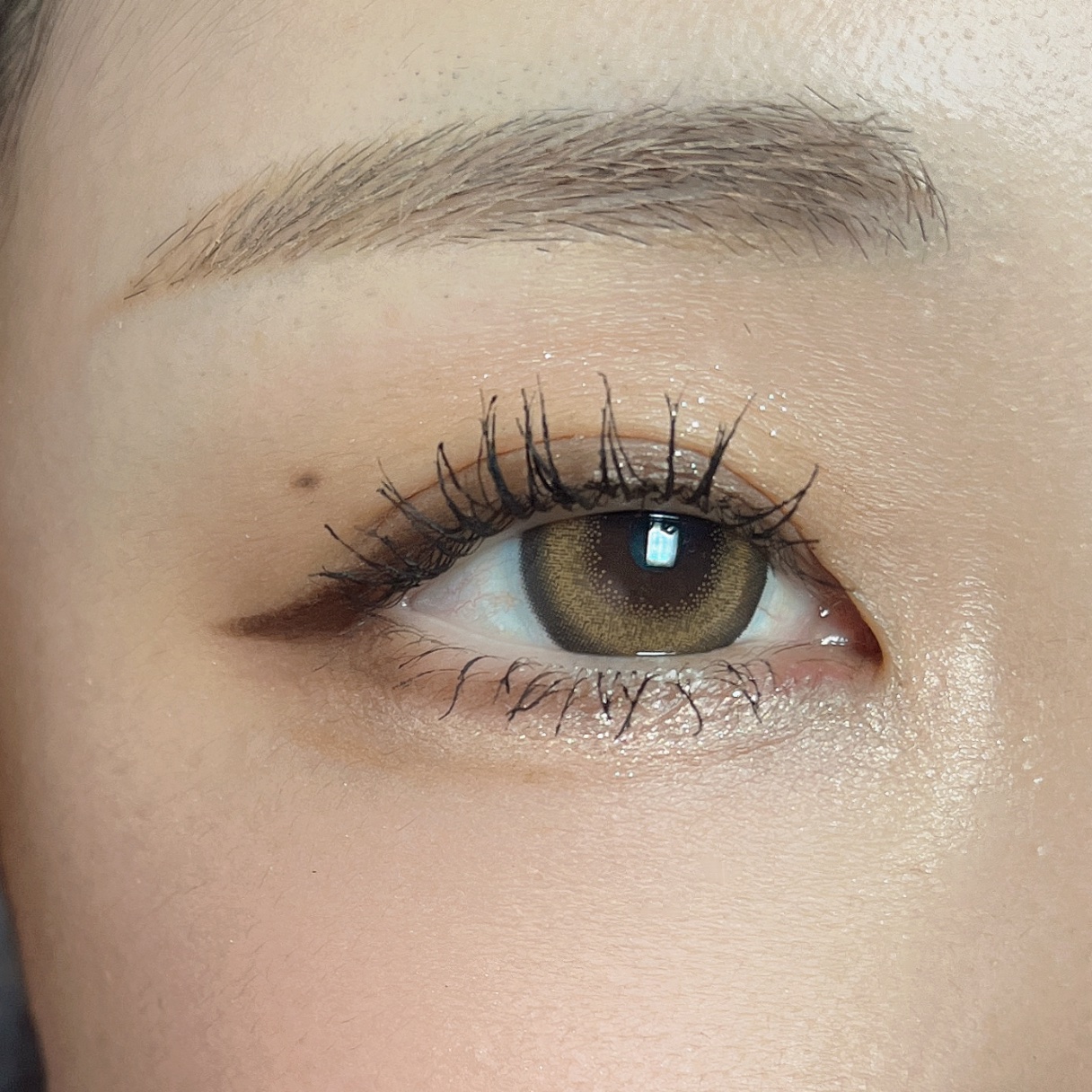 パノラマデザイン アイパレット/Visée/アイシャドウパレットを使ったクチコミ（1枚目）