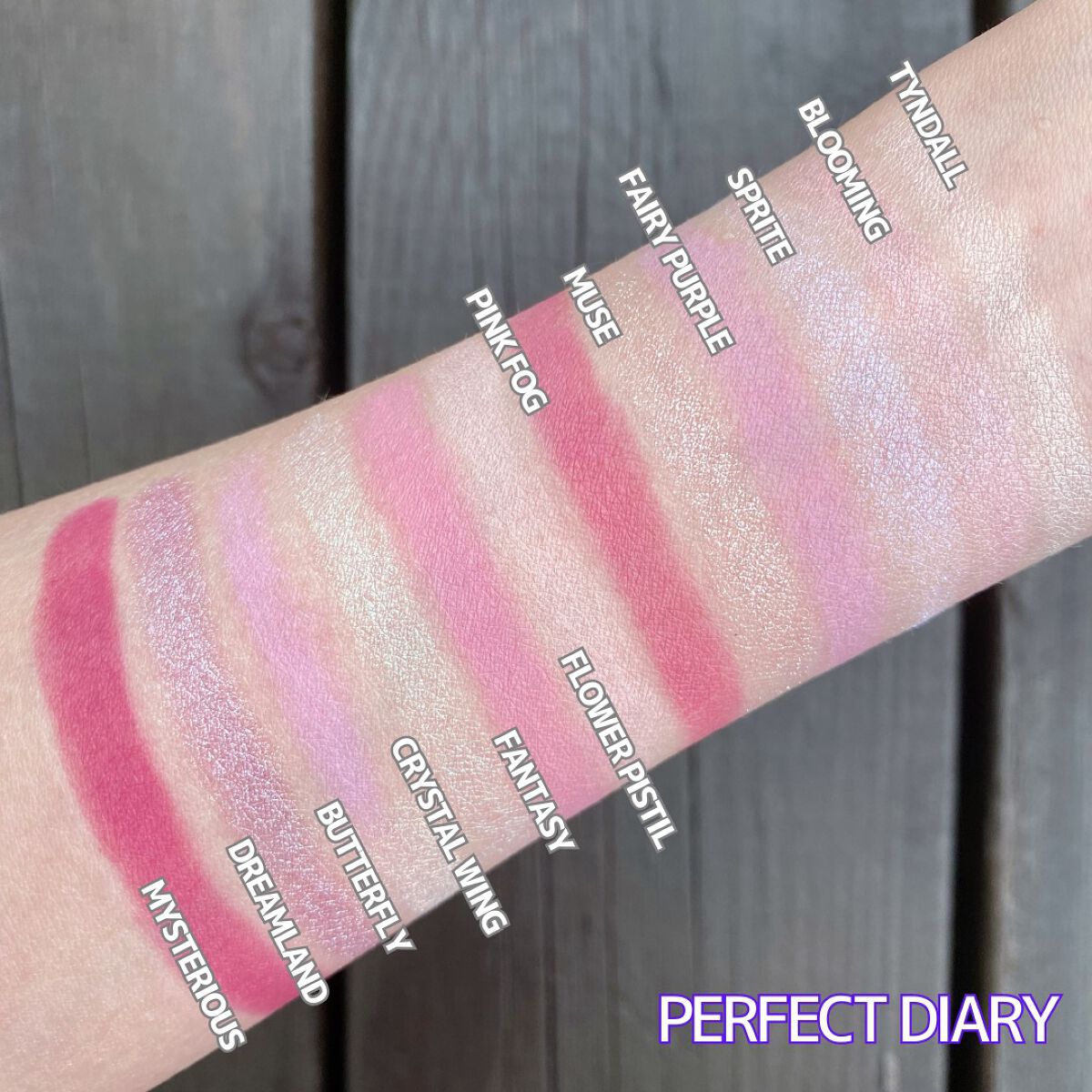 エクスプローラ12色 動物アイシャドウパレット/PERFECT DIARY/アイシャドウパレットを使ったクチコミ(4枚目)