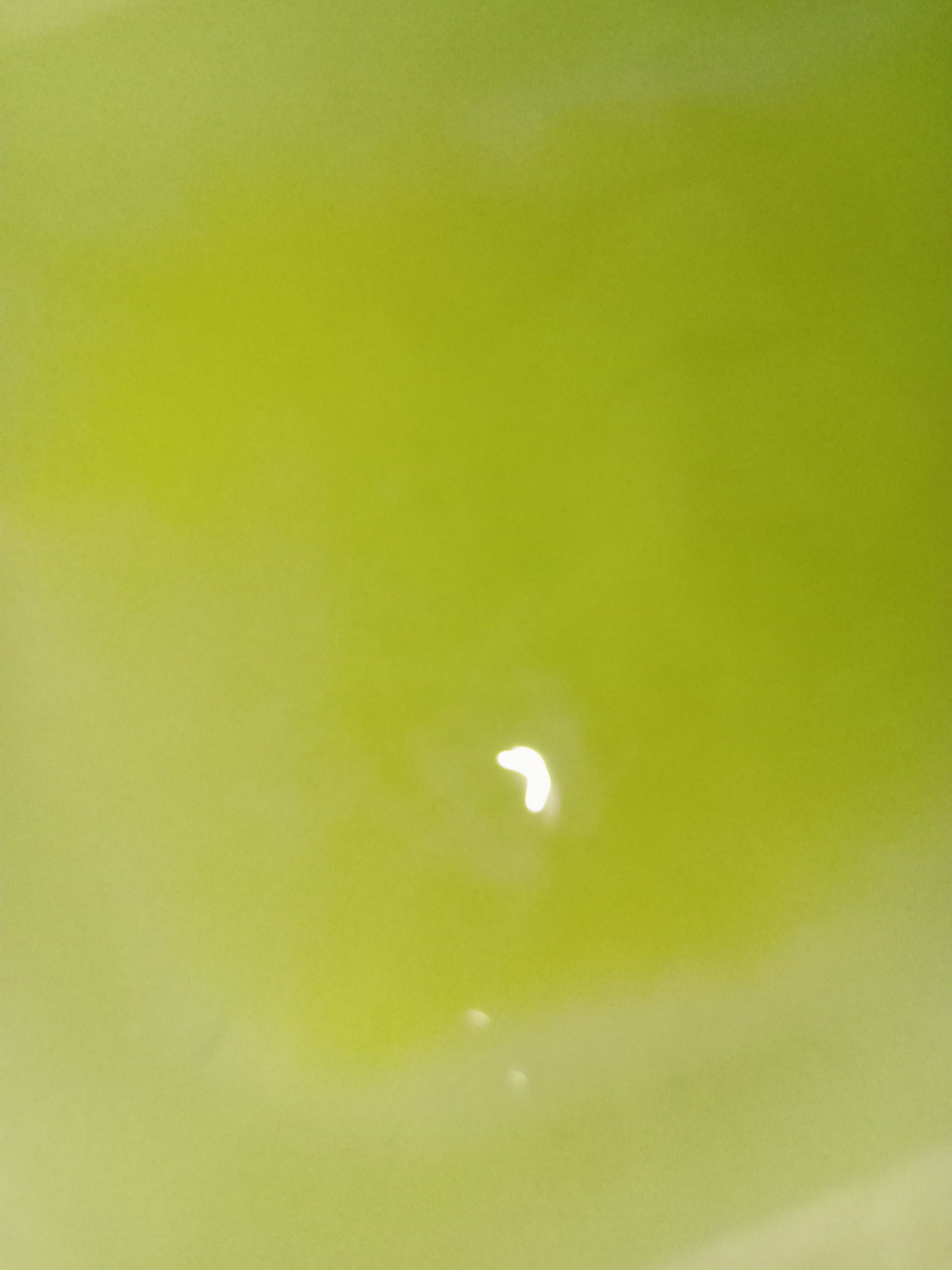 CICA成分配合入浴料  25g（1回分）/amproom/生薬系入浴剤を使ったクチコミ（2枚目）