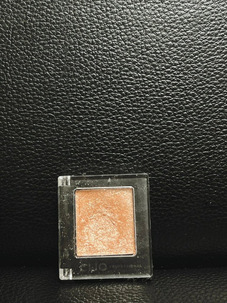 プロ シングル シャドウ/CLIO/単色アイシャドウを使ったクチコミ(3枚目)