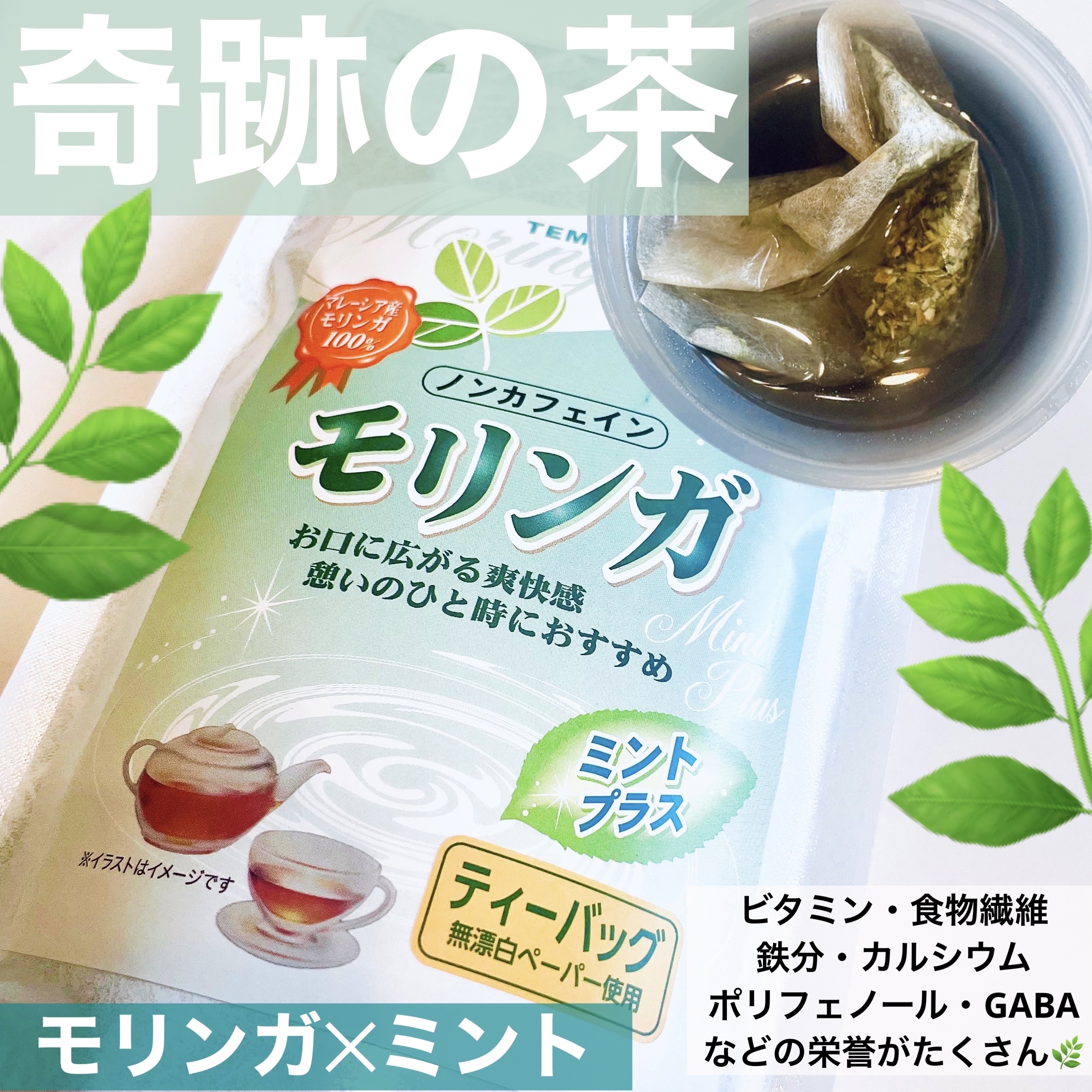 モリンガ茶 ミントプラス/天保堂/ドリンクを使ったクチコミ（1枚目）