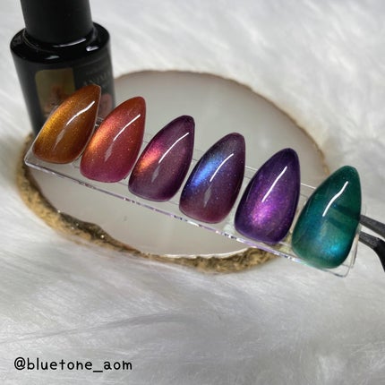 アニマルマグネットジェル/ネイル工房/ジェルネイルを使ったクチコミ(7枚目)