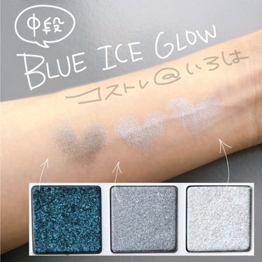 Polar Ice Eye Palette/シャンテカイユ/アイシャドウパレットを使ったクチコミ（3枚目）