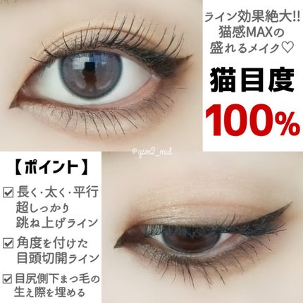 クリーミータッチライナー/キャンメイク/ジェルアイライナーを使ったクチコミ(6枚目)