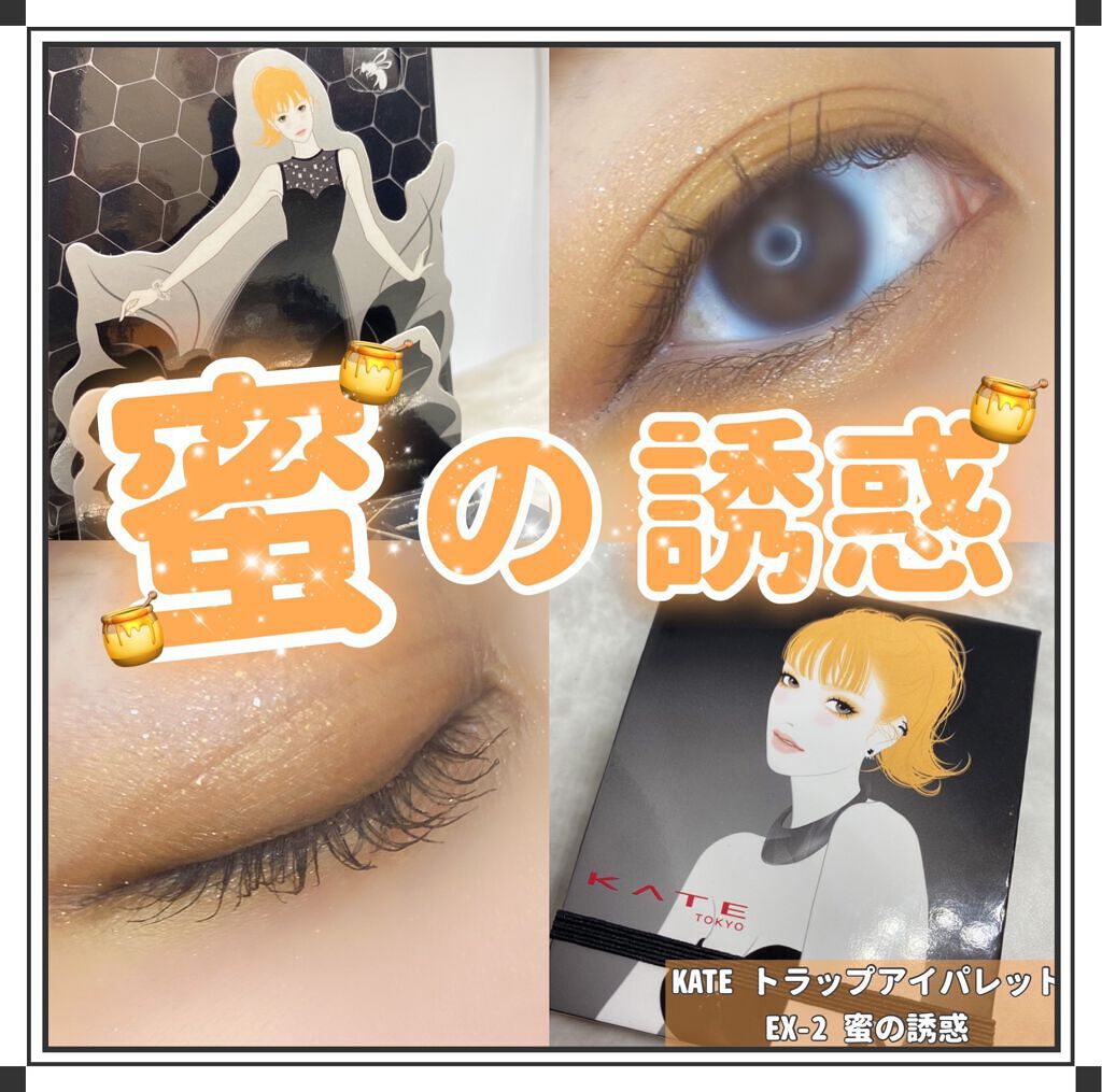 トラップアイパレット/KATE/アイシャドウパレットを使ったクチコミ(1枚目)