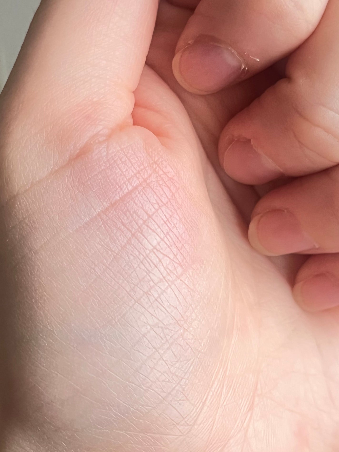 チークブラッシュ/CEZANNE/パウダーチークを使ったクチコミ(4枚目)