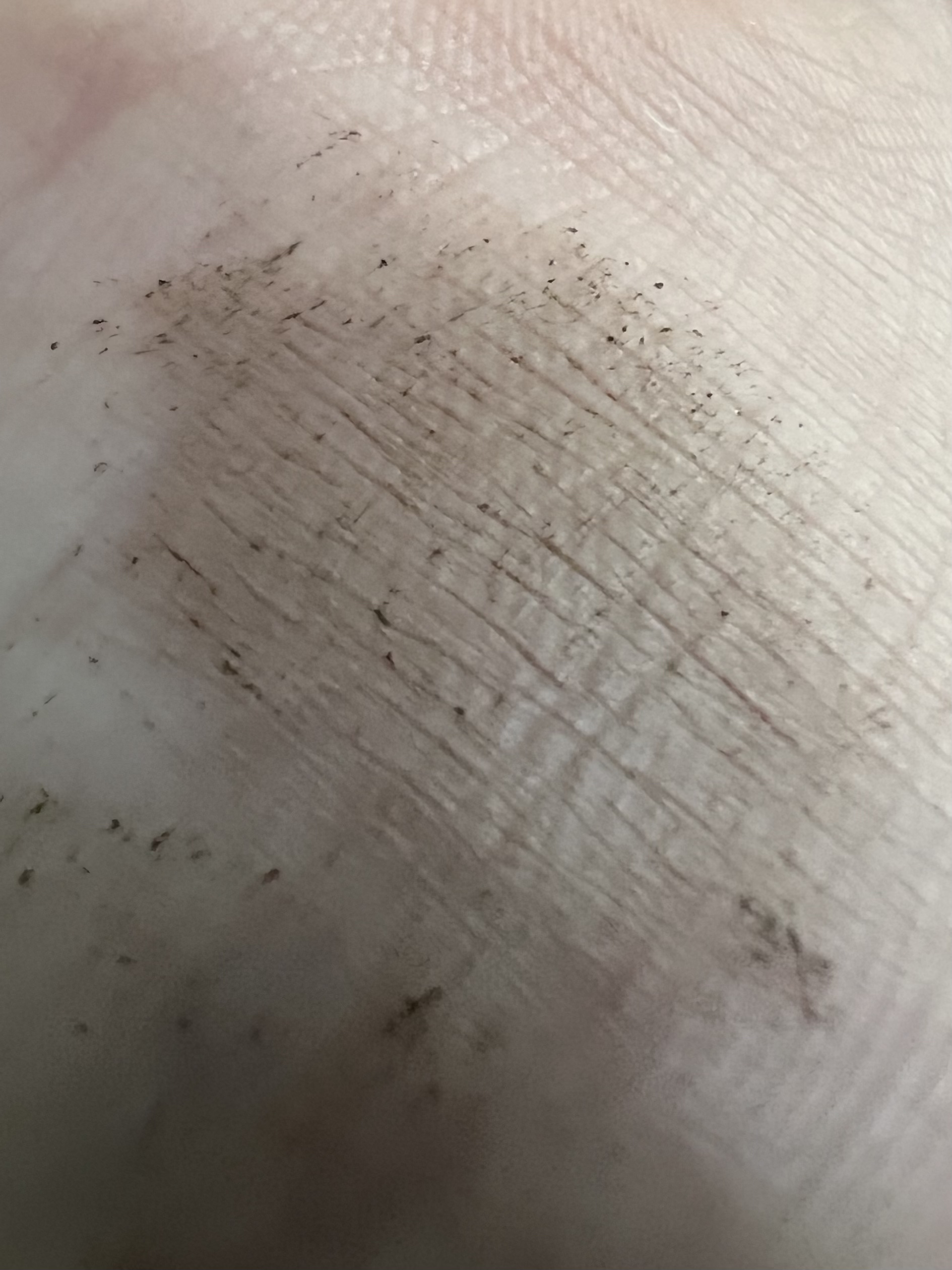 ハンオールブロウカラ/rom&nd/眉マスカラを使ったクチコミ（3枚目）