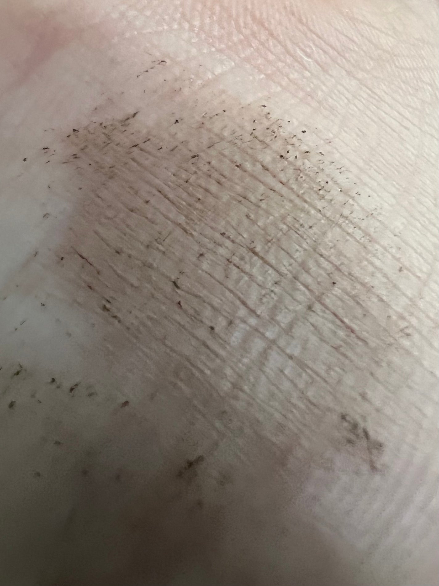 ハンオールブロウカラ/rom&nd/眉マスカラを使ったクチコミ(3枚目)