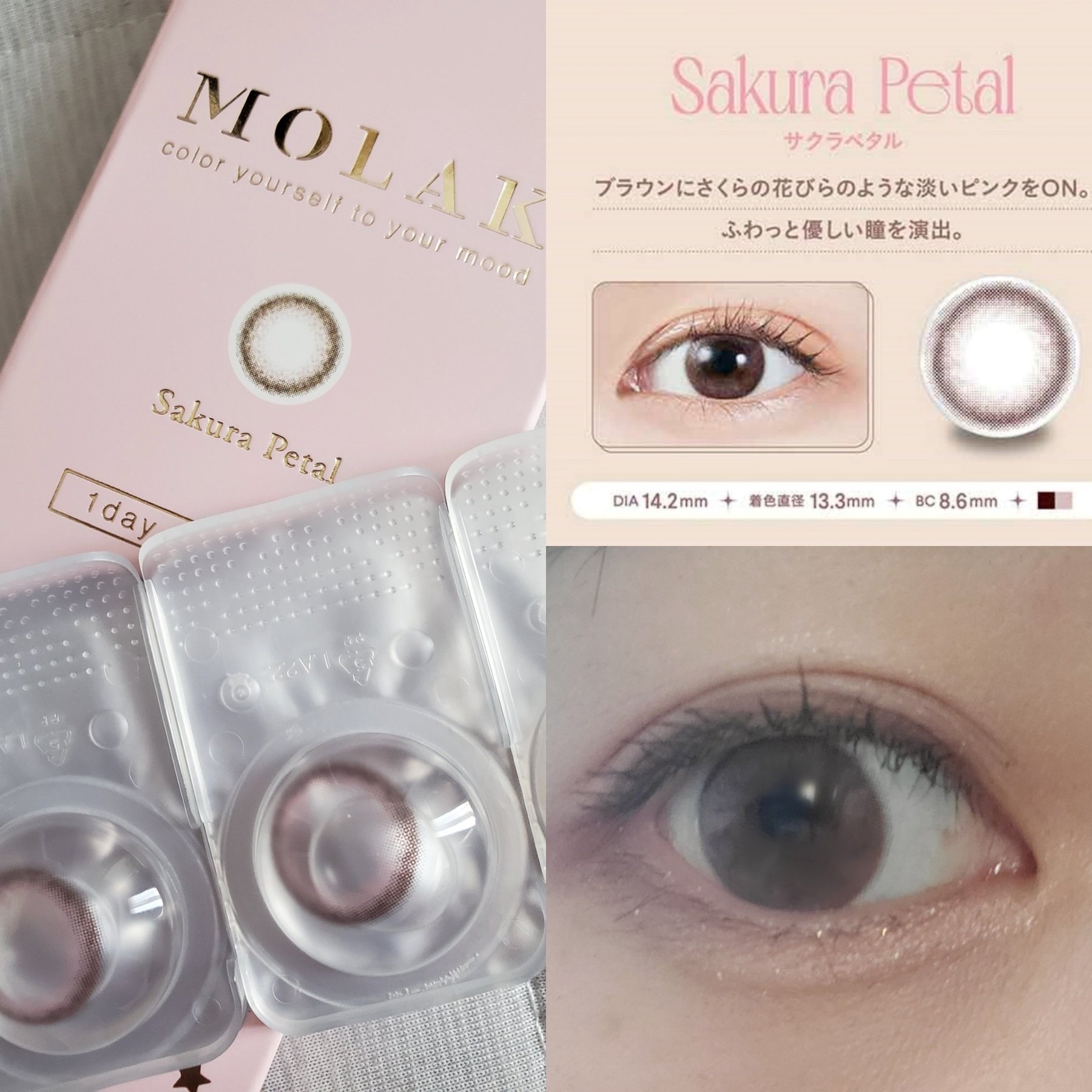 MOLAK 1day/MOLAK/ワンデー（１DAY）カラコンを使ったクチコミ（1枚目）