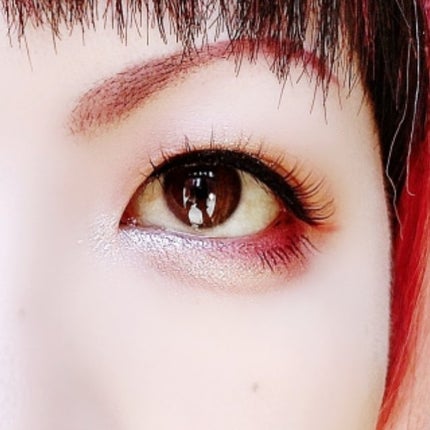 エクスプローラ12色 動物アイシャドウパレット/PERFECT DIARY/アイシャドウパレットを使ったクチコミ(7枚目)