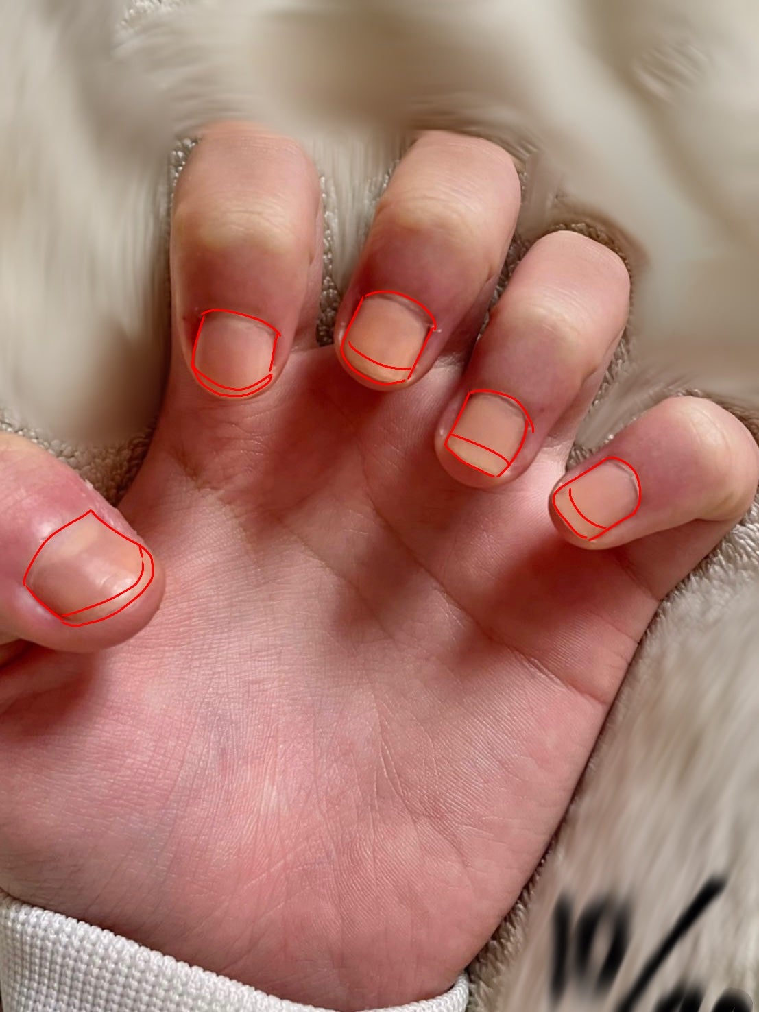 ネイルケアオイル/無印良品/ネイルオイル・トリートメントを使ったクチコミ(2枚目)