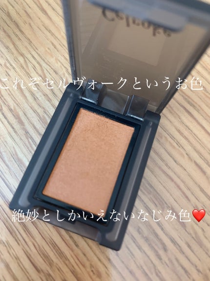 セルヴォーク ヴォランタリー アイズ/Celvoke/単色アイシャドウを使ったクチコミ(2枚目)