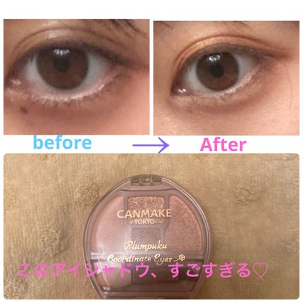 プランぷくコーデアイズ/キャンメイク/パウダーアイシャドウを使ったクチコミ(1枚目)