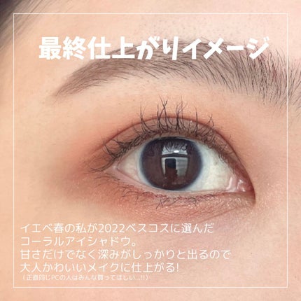 アディクション ザ アイシャドウ パレット/ADDICTION/アイシャドウパレットを使ったクチコミ(2枚目)