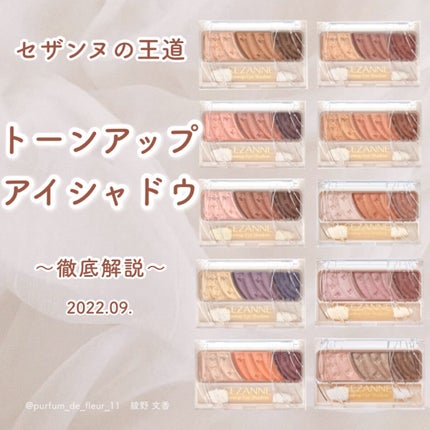 トーンアップアイシャドウ/CEZANNE/アイシャドウパレットを使ったクチコミ(1枚目)