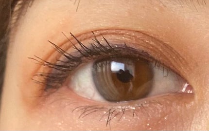 スイ ブラック アイカラー/ANNA SUI/アイシャドウパレットを使ったクチコミ(6枚目)