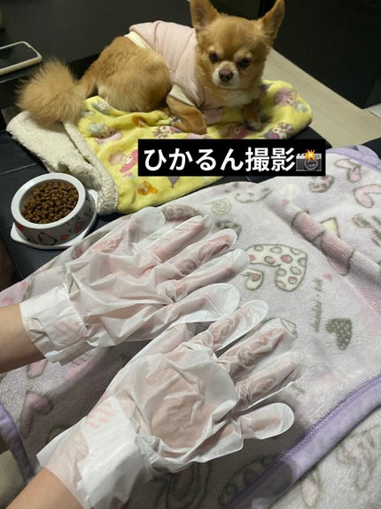 オハナ・マハロ フレグランスハンドマスク 〈ピカケ アウリィ〉/OHANA MAHAALO/ハンドクリームを使ったクチコミ(5枚目)