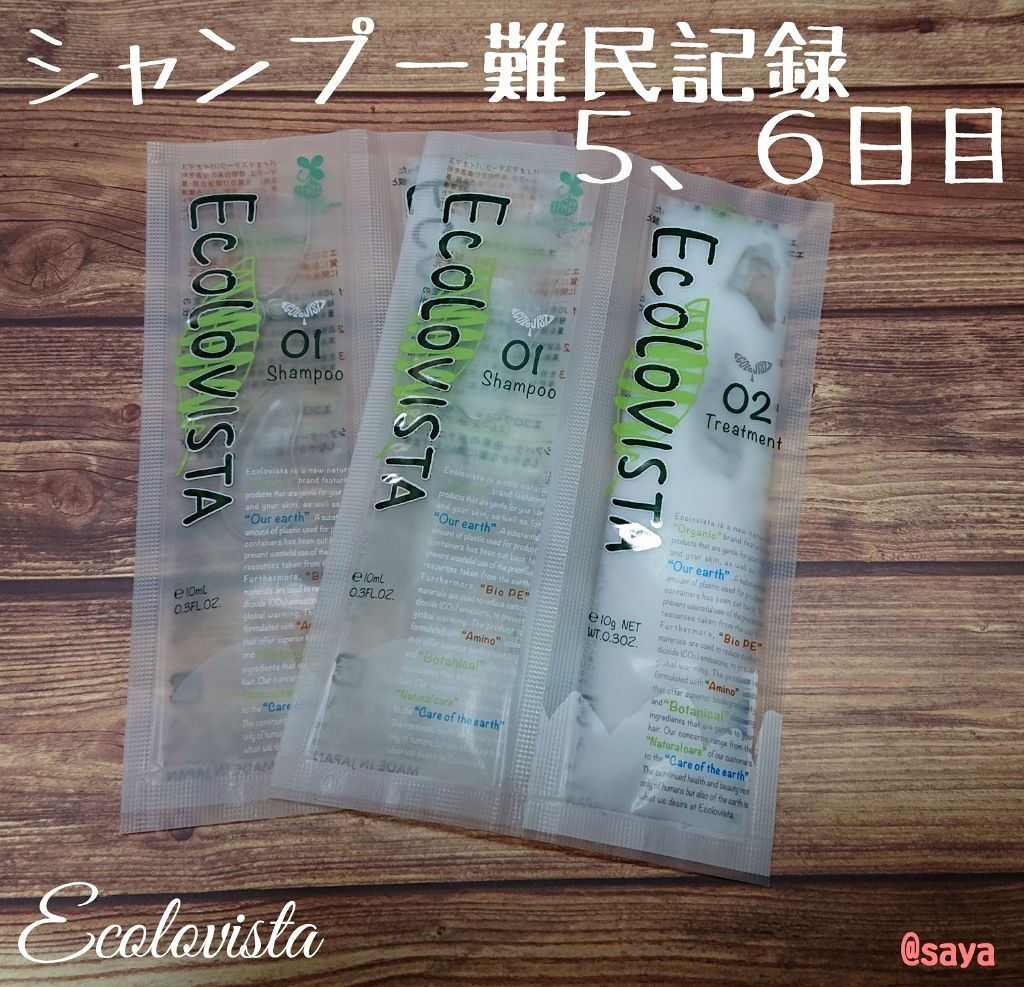 シャンプー＆ヘアトリートメント お試し/ECOLOVISTA（エコロヴィスタ）/トライアルキットを使ったクチコミ（1枚目）