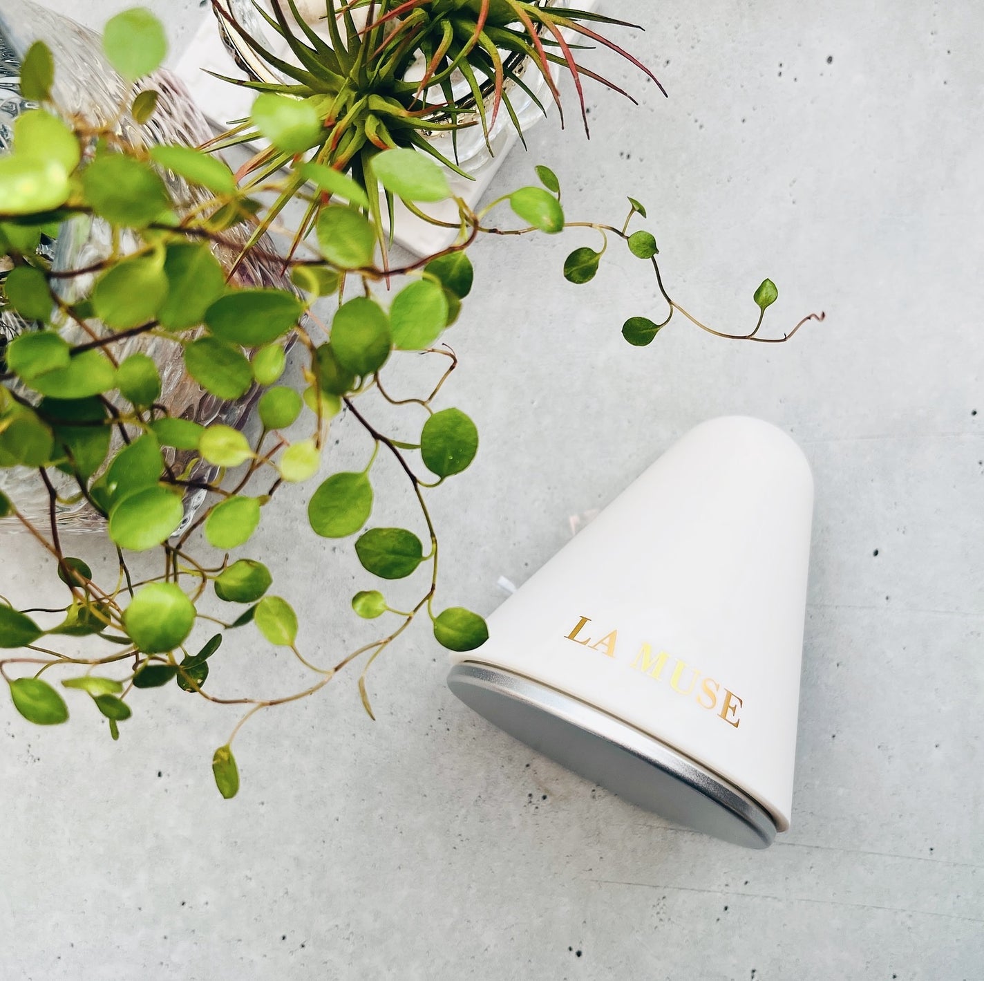 パーフェクトクーラー/ラミューズ/その他スキンケアグッズを使ったクチコミ(2枚目)