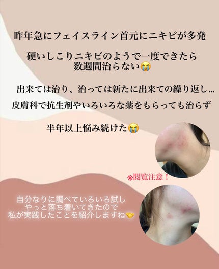 を使ったクチコミ(2枚目)