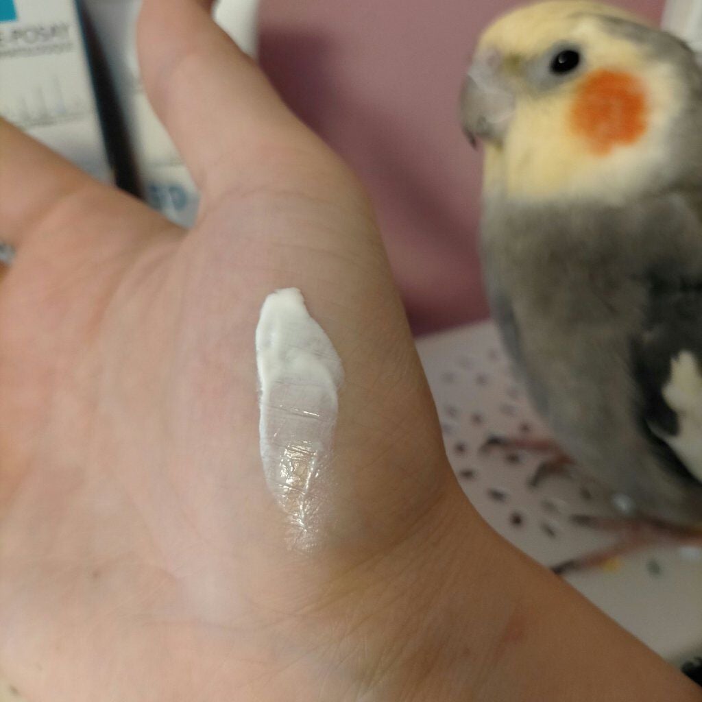 UVã€ã㢠XL ãããã¯ã·ã§ã³ããŒã³ã¢ãã/ã© ããã·ã¥ ããŒ/æ¥çŒãæ¢ãã¯ãªãŒã ã䜿ã£ãã¯ãã³ãïŒ2æç®ïŒ