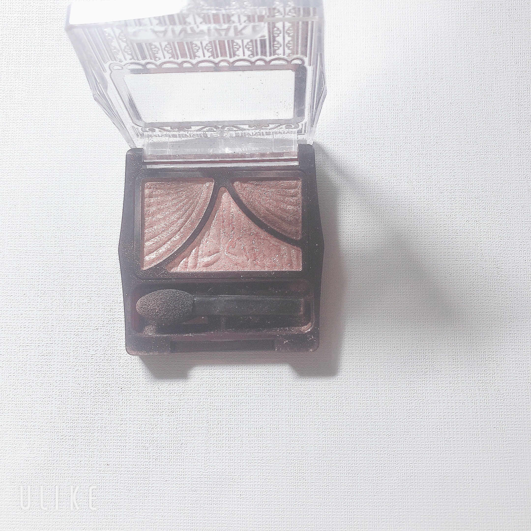 グロッシーリッチ アイズ N/Visée/アイシャドウパレットを使ったクチコミ（3枚目）