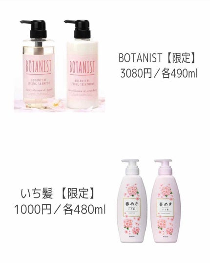 コンパクトスタイラー/TANGLE TEEZER/ヘアブラシを使ったクチコミ(2枚目)