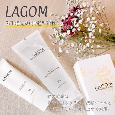 サンジェル プラス SPF50+ PA++++/LAGOM /日焼け止め・UVケアを使ったクチコミ（1枚目）