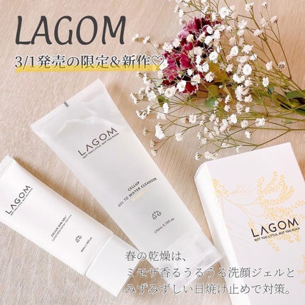 サンジェル プラス SPF50+ PA++++/LAGOM /日焼け止めジェルを使ったクチコミ(1枚目)