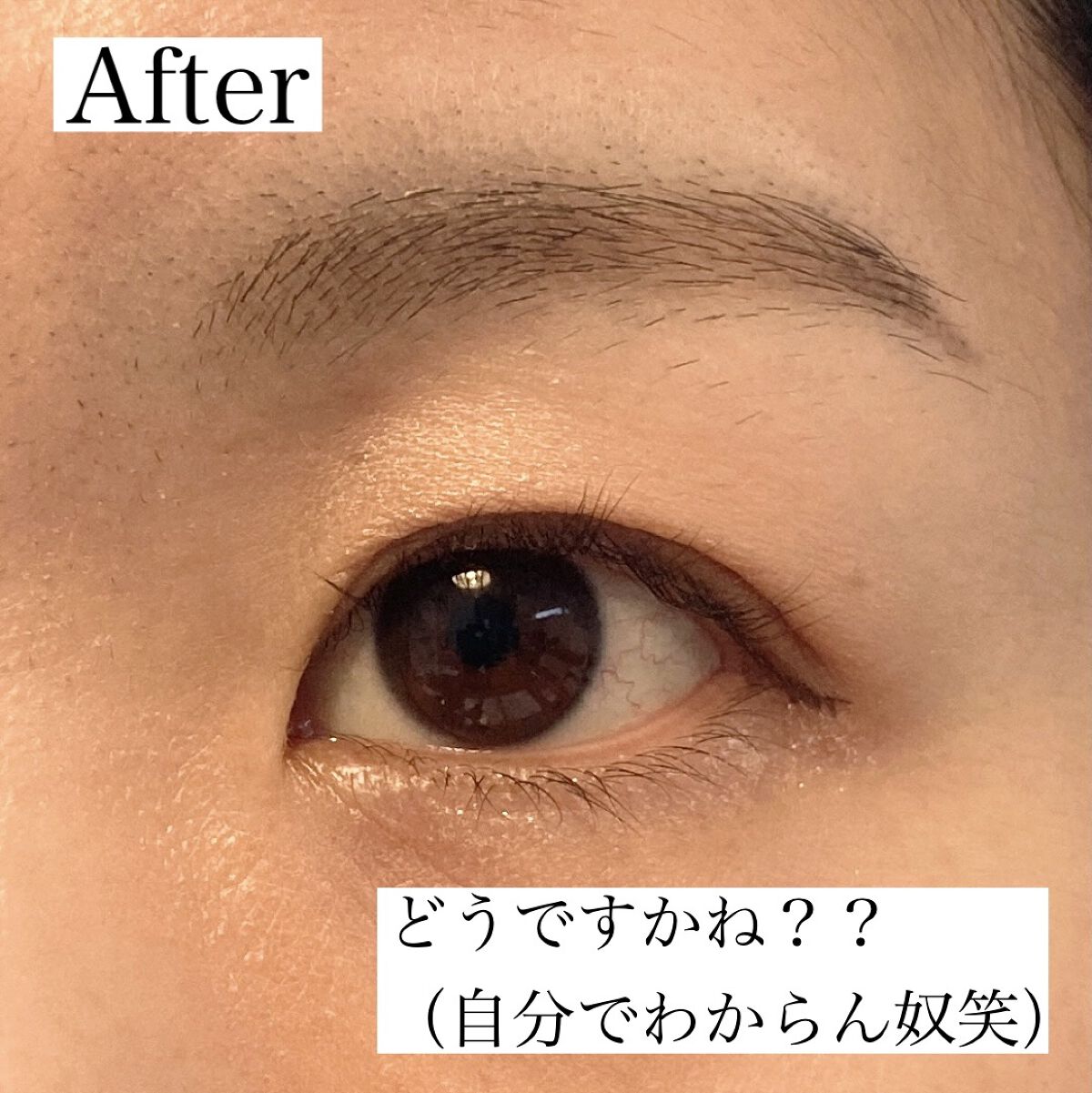 ケイト デザイニングアイブロウ3D/KATE/パウダーアイブロウを使ったクチコミ（3枚目）