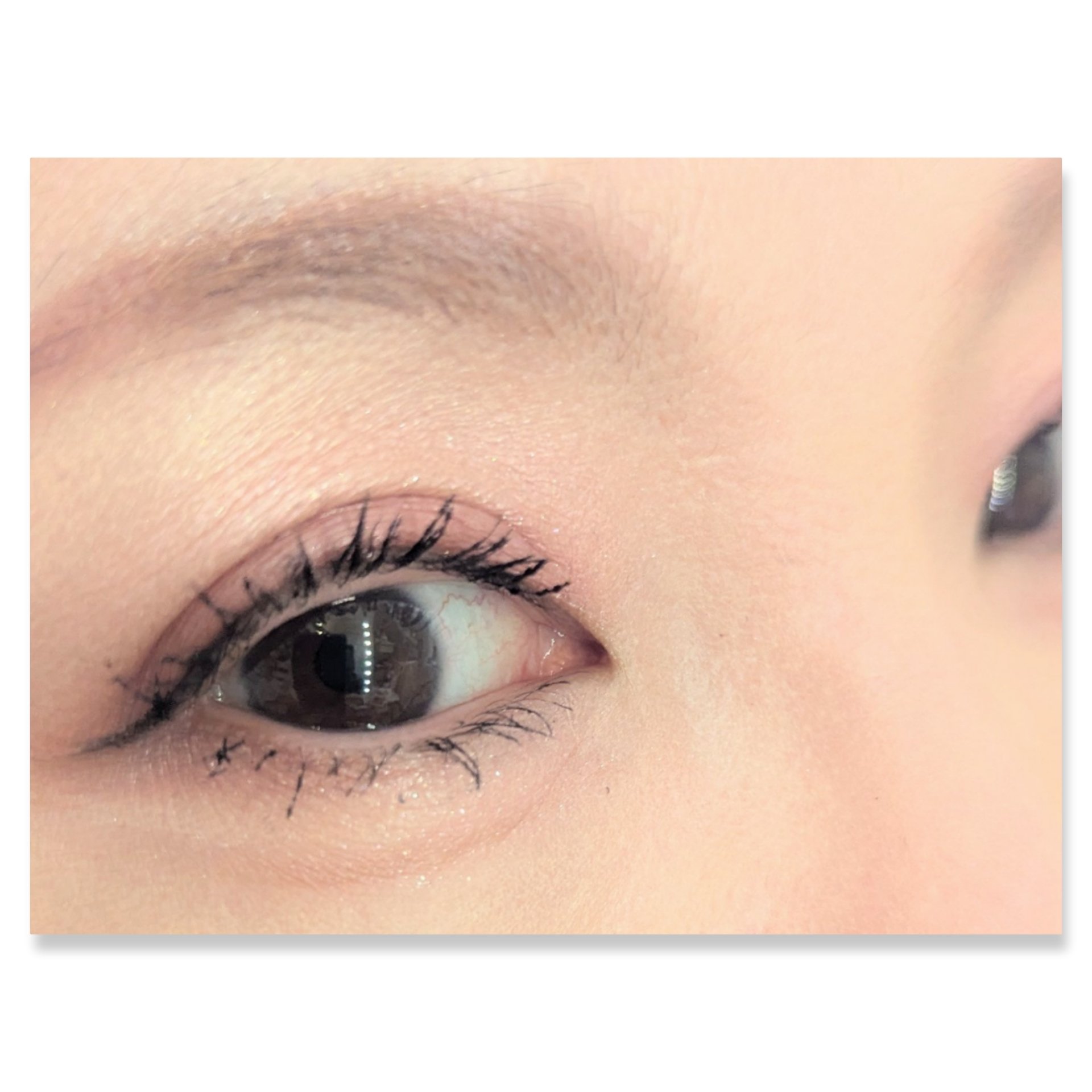 レブロン ダズル アイシャドウ クアッド/REVLON/アイシャドウパレットを使ったクチコミ（2枚目）