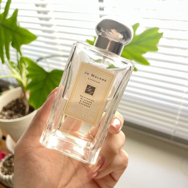 ネクタリン ブロッサム ＆ ハニー コロン/Jo MALONE LONDON/香水(レディース)を使ったクチコミ（1枚目）