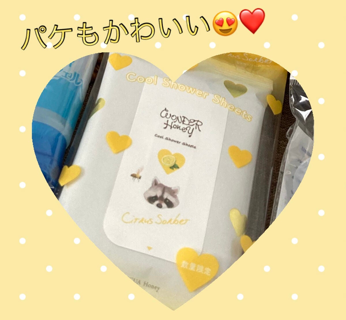 ワンダーハニー 素肌すっきりクールシャワーシート<ボディ用ふきとり化粧水>/VECUA Honey/ボディシートを使ったクチコミ(3枚目)