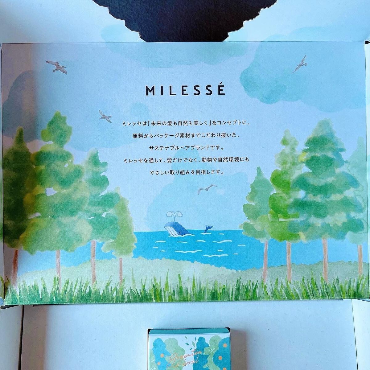 MILESSÉ ミレッセ シャンプーバー G ミレッセ