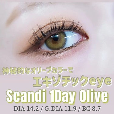 SCANDI 1day/OLENS/カラーコンタクトレンズを使ったクチコミ（1枚目）