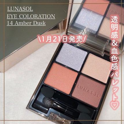 アイカラーレーション/LUNASOL/アイシャドウパレットを使ったクチコミ(1枚目)