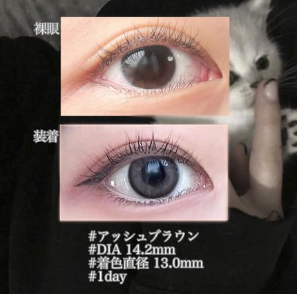 N’s COLLECTION 1day/N’s COLLECTION/ワンデー(1DAY)カラコンを使ったクチコミ(5枚目)