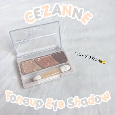 トーンアップアイシャドウ/CEZANNE/アイシャドウパレットを使ったクチコミ（1枚目）