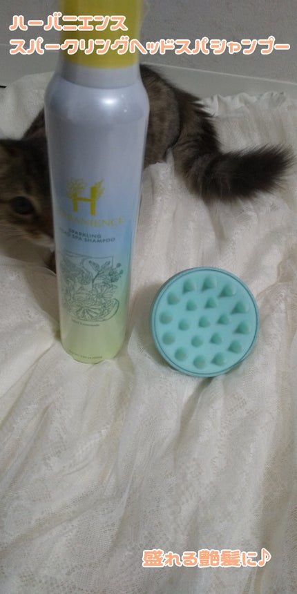 ハーバニエンス 炭酸ヘッドスパシャンプー_バニスパ/HERBANIENCE/市販シャンプーを使ったクチコミ(1枚目)